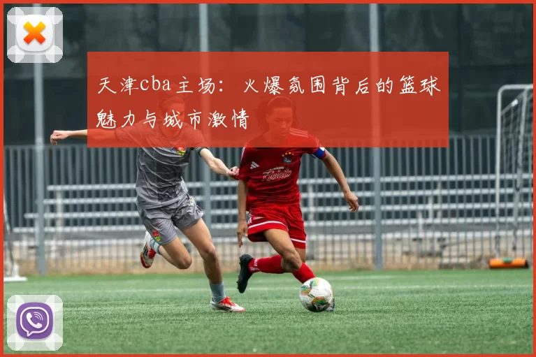 天津cba主场：火爆氛围背后的篮球魅力与城市激情