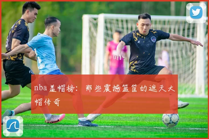 nba盖帽榜：那些震撼篮筐的遮天大帽传奇