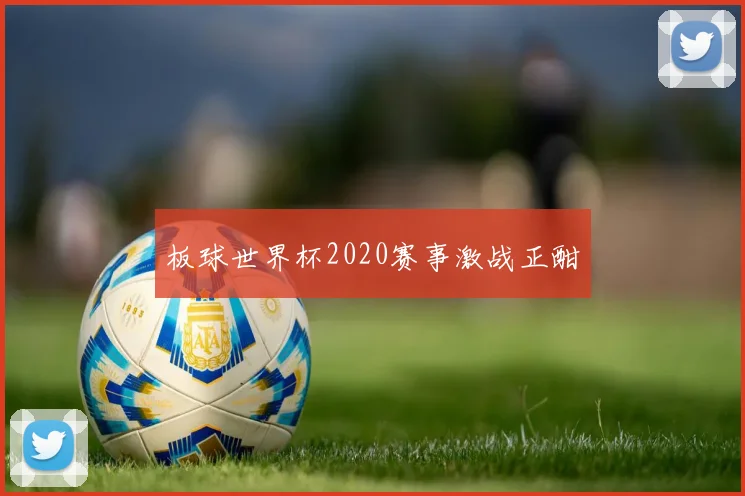 板球世界杯2020赛事激战正酣